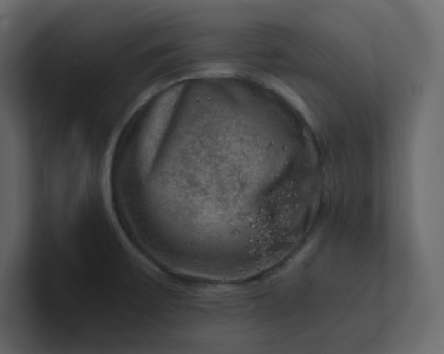 X0000101121475200807101532