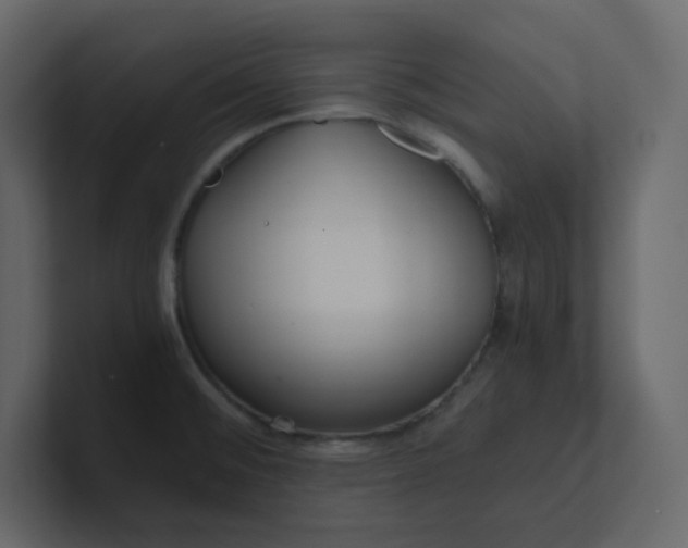 X0000101121476200807101532