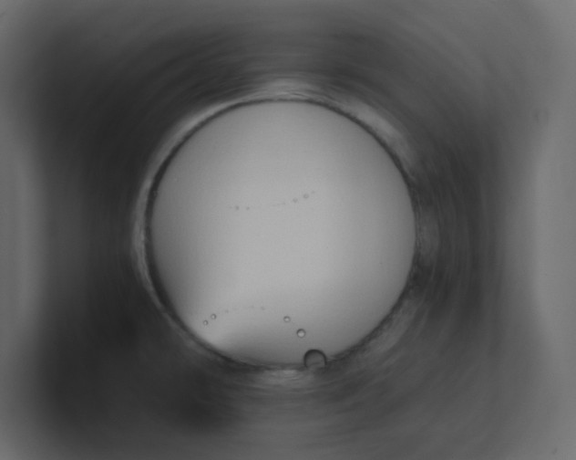 X0000101121478200807101532
