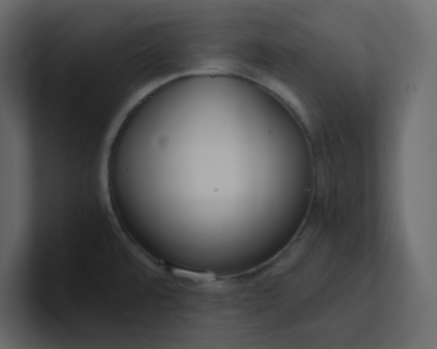 X0000101121480200807101532