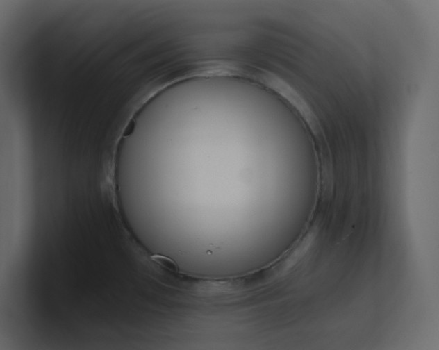 X0000101121481200807101532