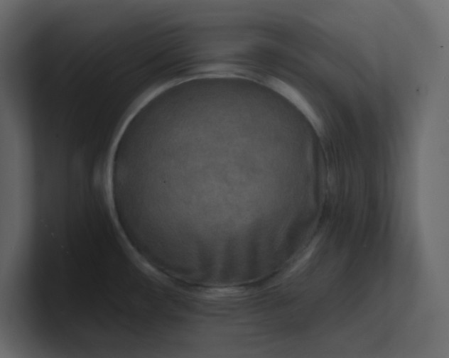 X0000101121482200807101532