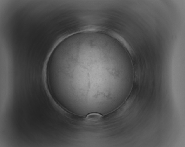 X0000101121483200807101532
