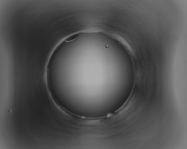 X0000101121484200807101532