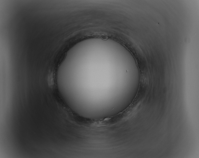 X0000101121490200807101531