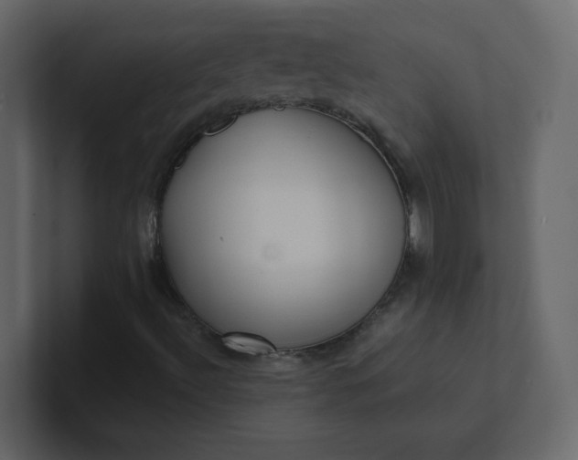 X0000101121492200807101531