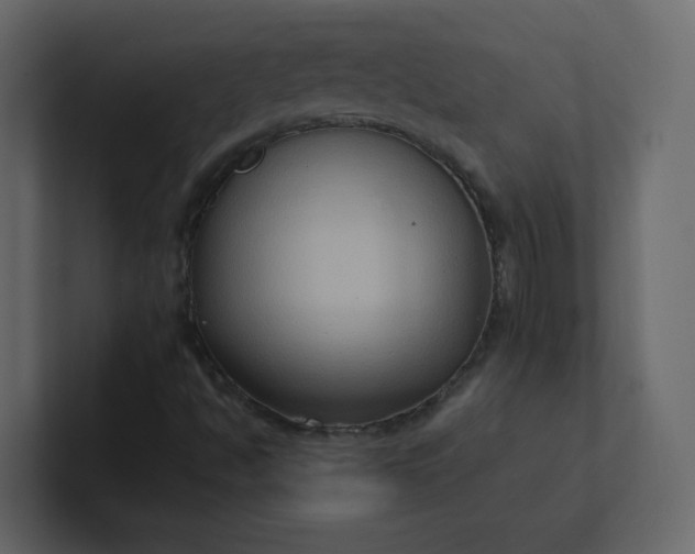 X0000101121494200807101531
