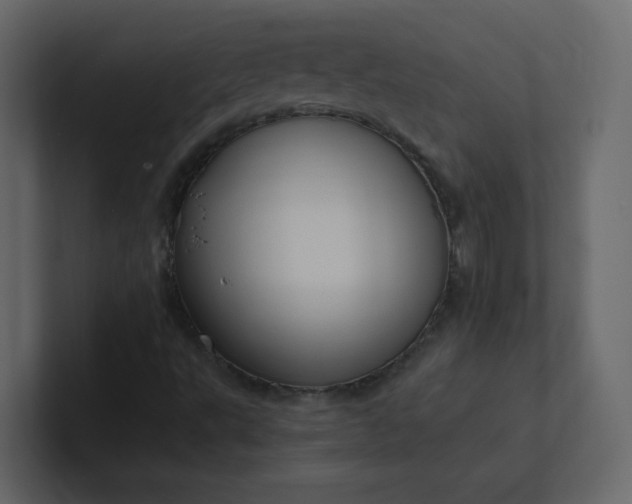 X0000101121495200807101531