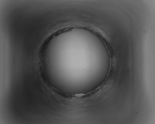 X0000101121496200807101531