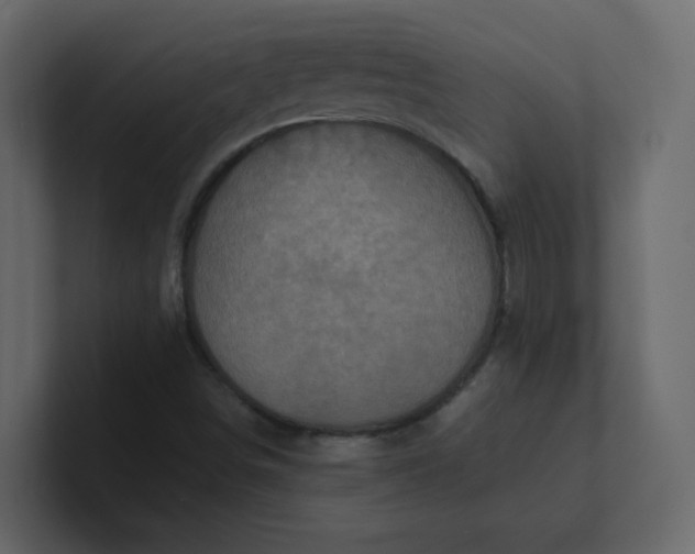 X0000101121498200807101531