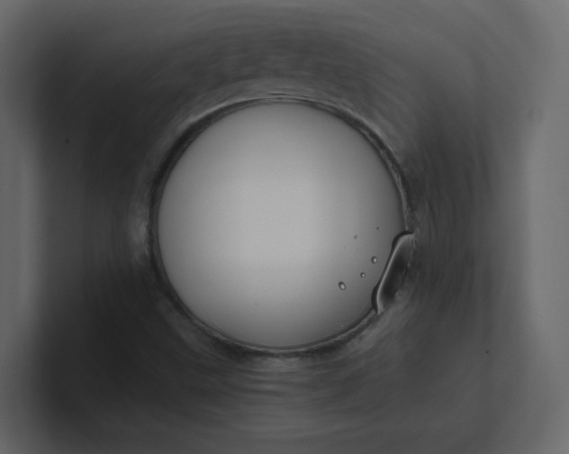 X0000101121499200807101531