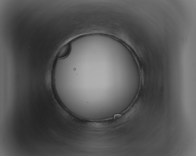 X0000101121500200807101531