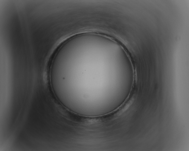 X0000101121501200807101531