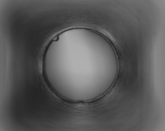 X0000101121504200807101531