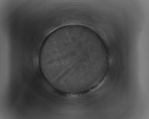 X0000101121505200807101531