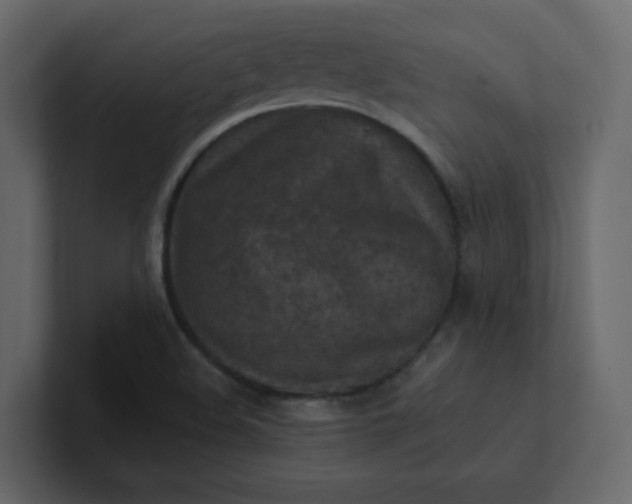 X0000101121508200807101531