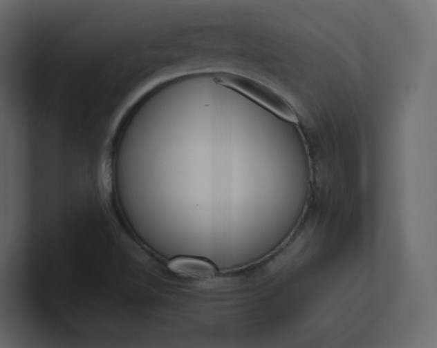 X0000101121510200807101531