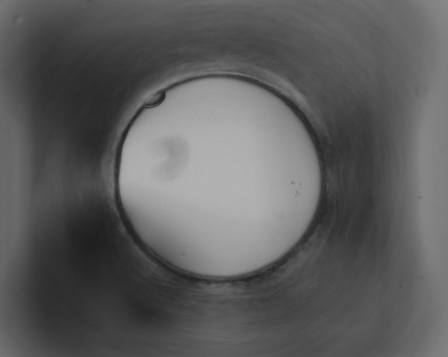 X0000101121512200807101531
