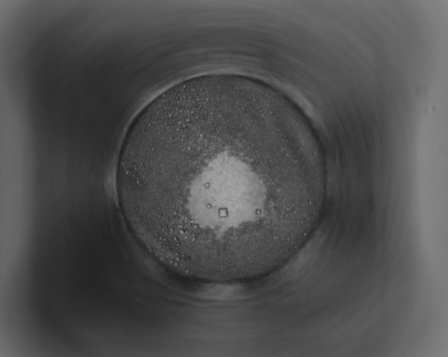 X0000101121513200807101531