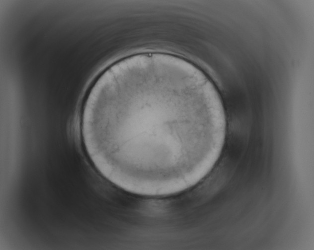 X0000101121514200807101531