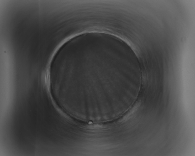 X0000101121515200807101531