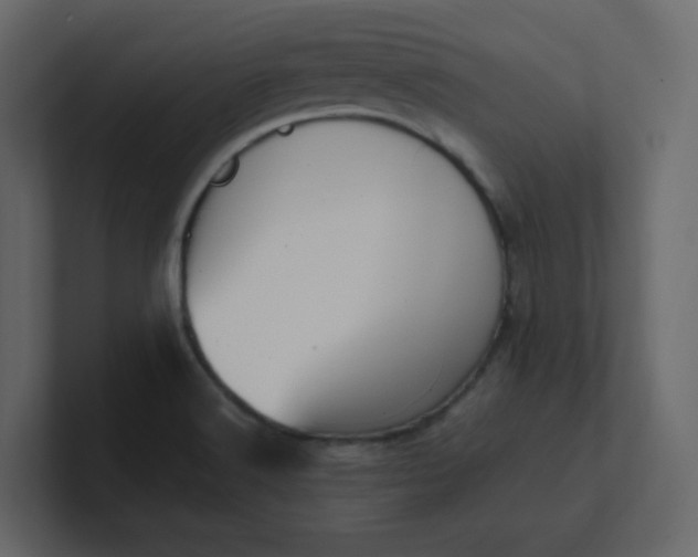 X0000101121516200807101531
