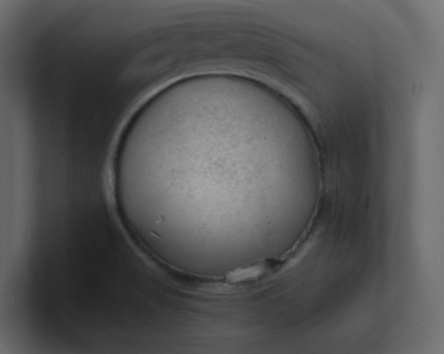 X0000101121517200807101531