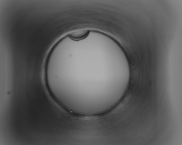 X0000101121518200807101531
