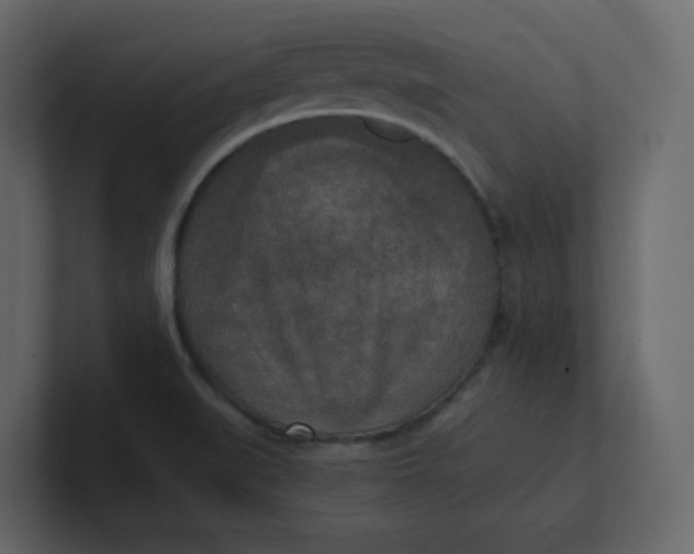 X0000101121519200807101531