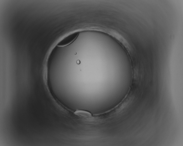 X0000101121520200807101531
