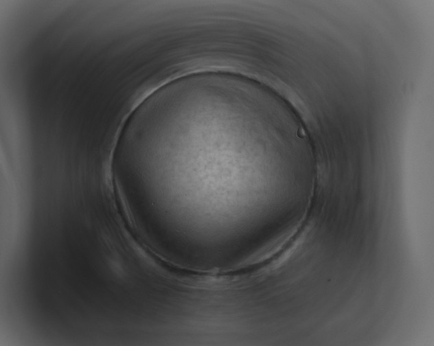 X0000101121521200807101531