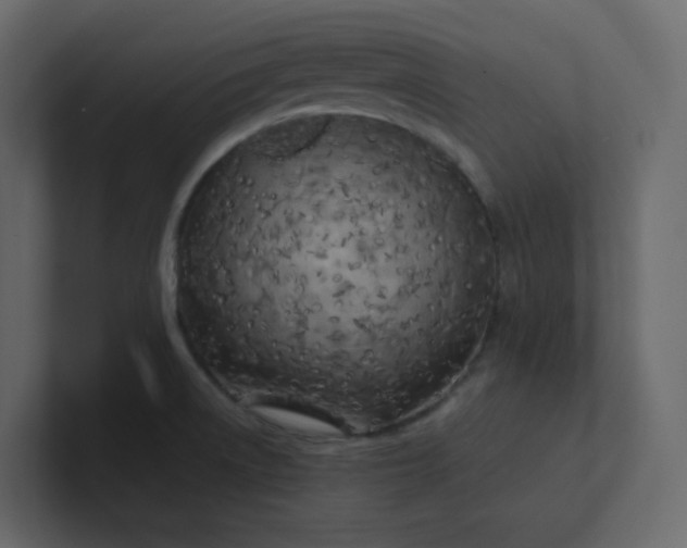 X0000101121522200807101532