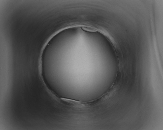 X0000101121524200807101532