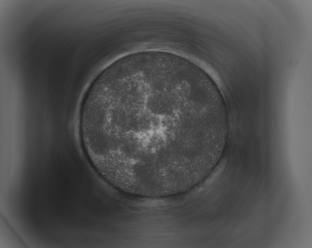 X0000101121525200807101532