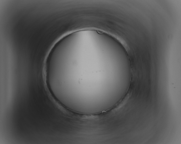 X0000101121526200807101532