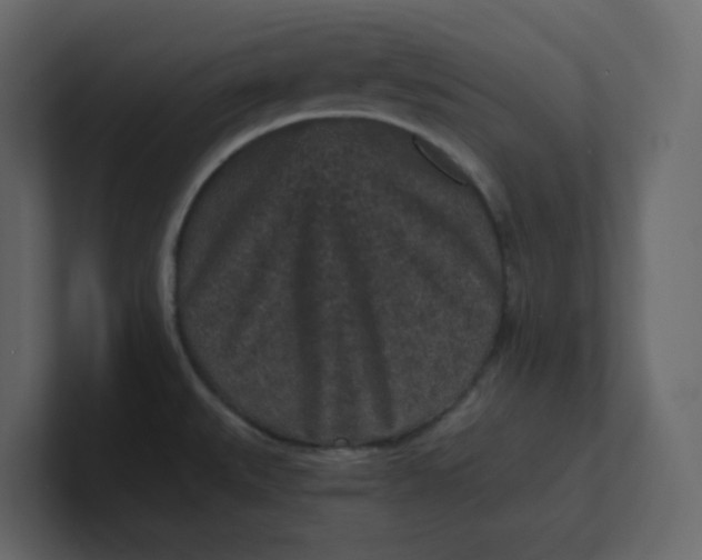 X0000101121527200807101532