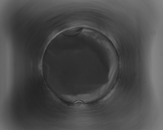 X0000101121529200807101532