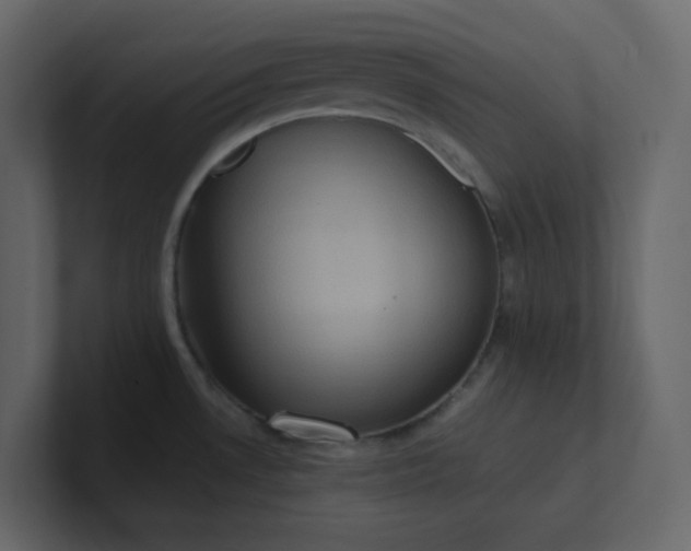 X0000101121530200807101532