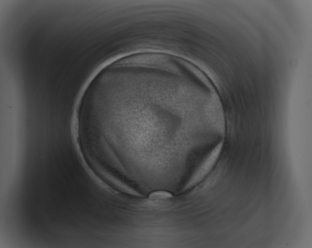 X0000101121531200807101532