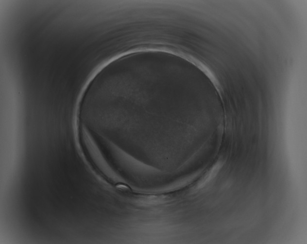 X0000101121533200807101532