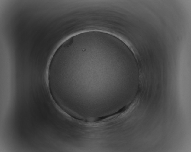X0000101121535200807101532