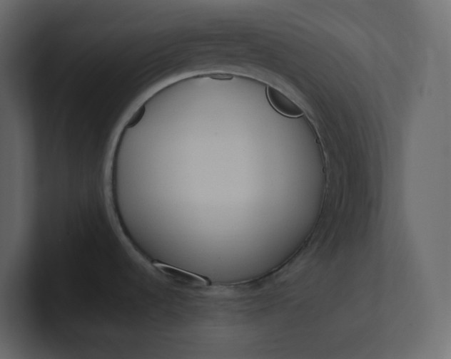 X0000101121536200807101532