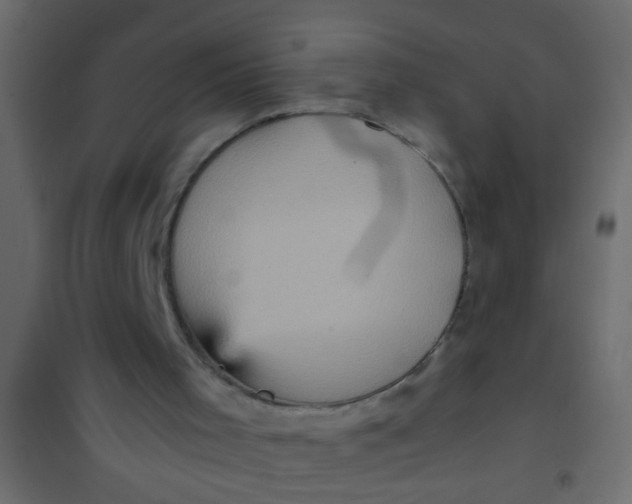 X0000101120001200807172011
