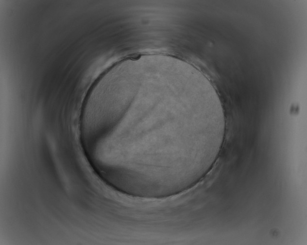 X0000101120002200807172011