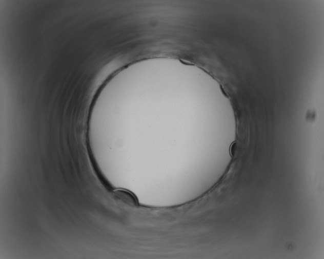 X0000101120003200807172011