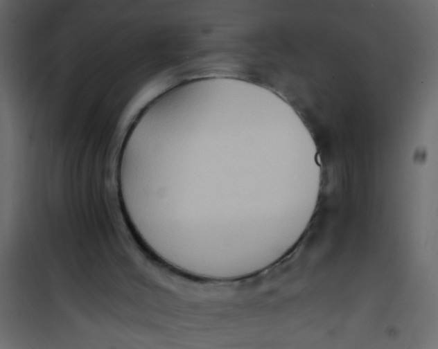 X0000101120004200807172011