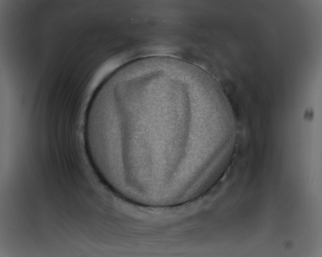X0000101120006200807172011