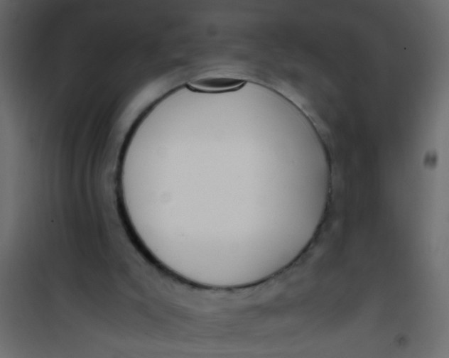 X0000101120007200807172011