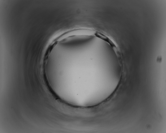X0000101120008200807172011