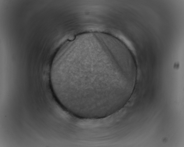 X0000101120009200807172011